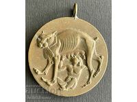 38405 Bulgaria humorous medal hero kissed by a cat