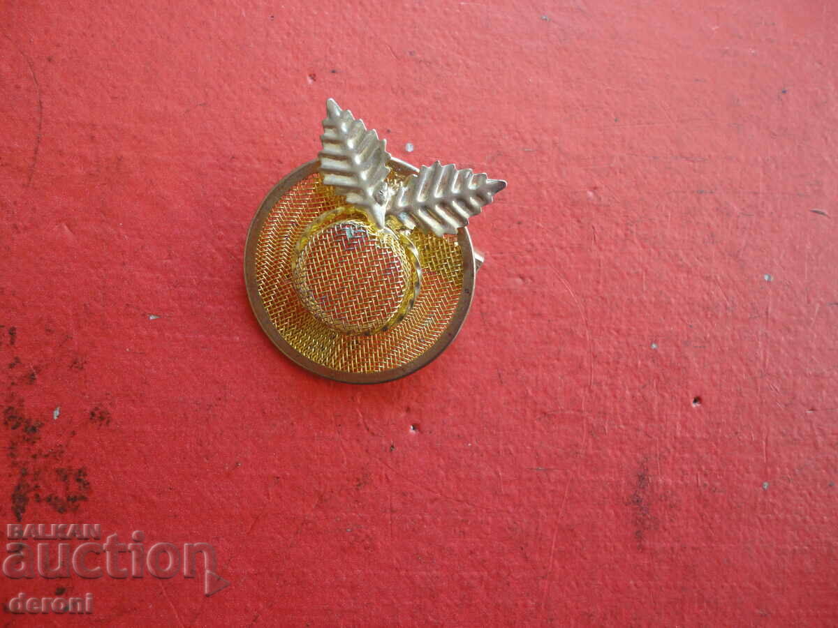 Gold-plated brooch with stones 80 with price 10.00 BGN | € 5.11 Gold-plated brooch with stones 80 with price 10.00 BGN | € 5.11