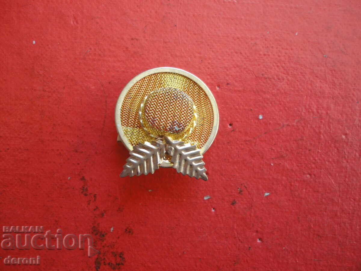 Delivery of Gold-plated brooch with stones 80 Delivery of Gold-plated brooch with stones 80