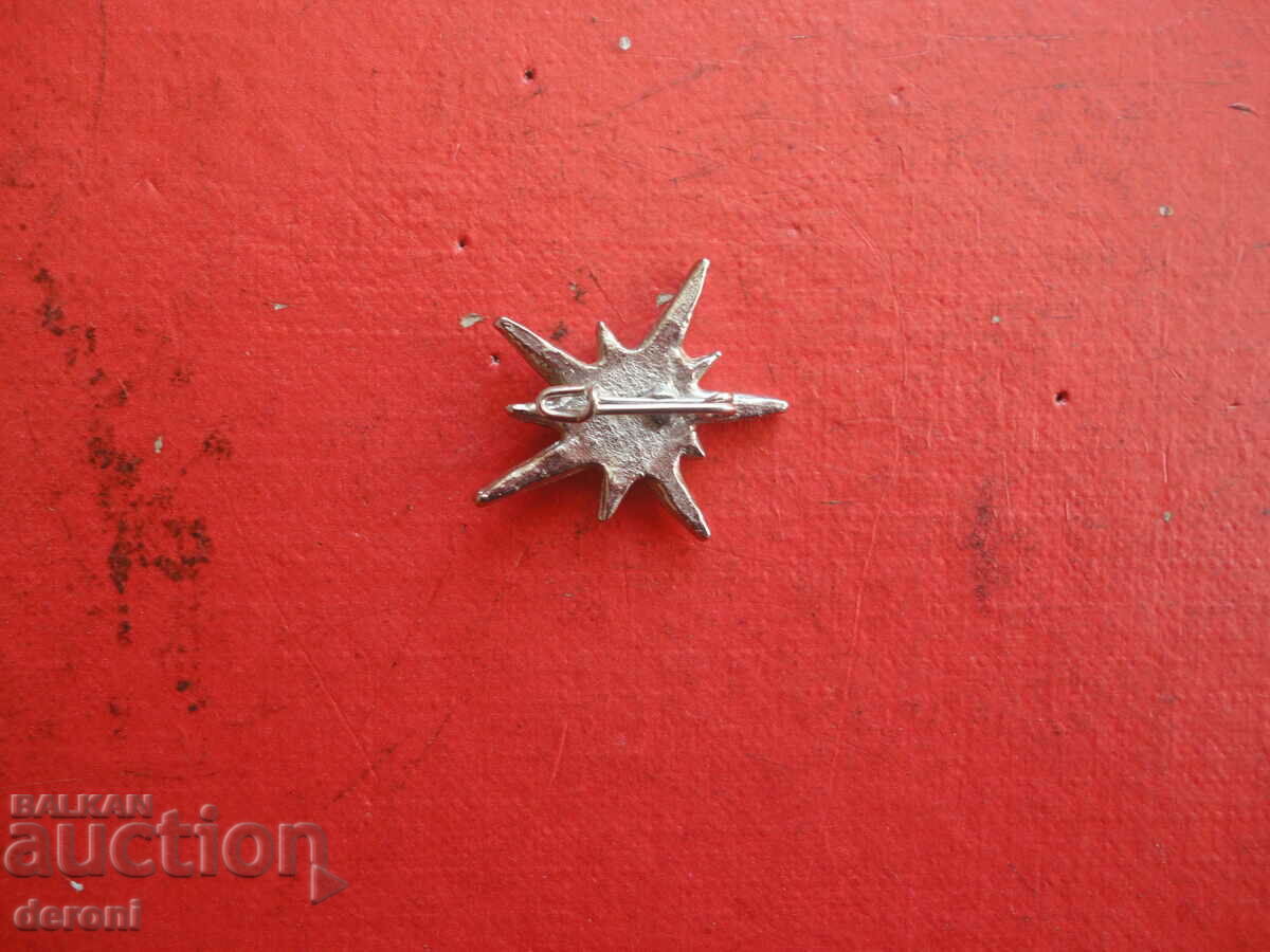 Δημοπρασία Επιχρυσωμένη καρφίτσα με πέτρες 82 αστεριών Δημοπρασία Επιχρυσωμένη καρφίτσα με πέτρες 82 αστεριών