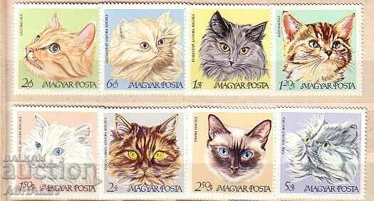 1968. Fauna Domestic cats. 8 m. ** Hungary