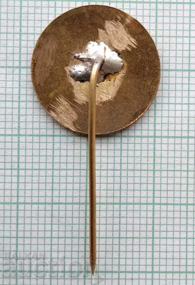 Auction 16727 Badge - Fair Plovdiv - bronze enamel Auction 16727 Badge - Fair Plovdiv - bronze enamel