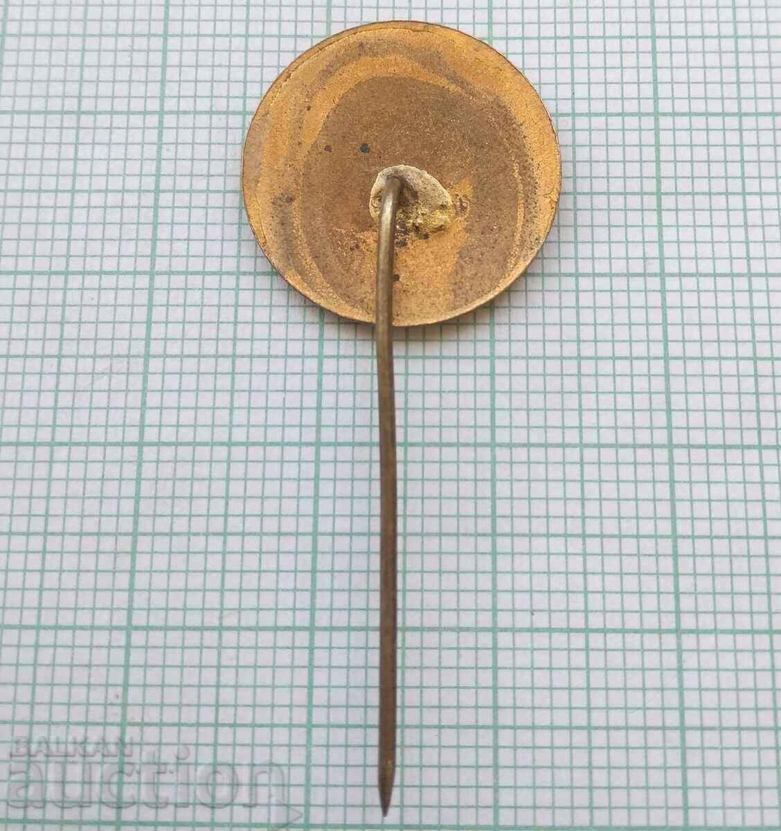 Licitație 16012 Insigna - Targul Plovdiv - email bronz Licitație 16012 Insigna - Targul Plovdiv - email bronz