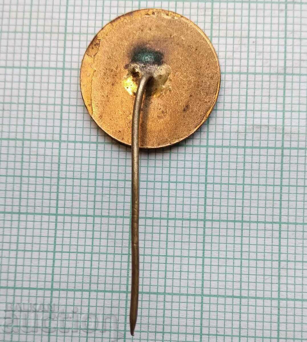 Auction 15924 Badge - Fair Plovdiv - bronze enamel Auction 15924 Badge - Fair Plovdiv - bronze enamel