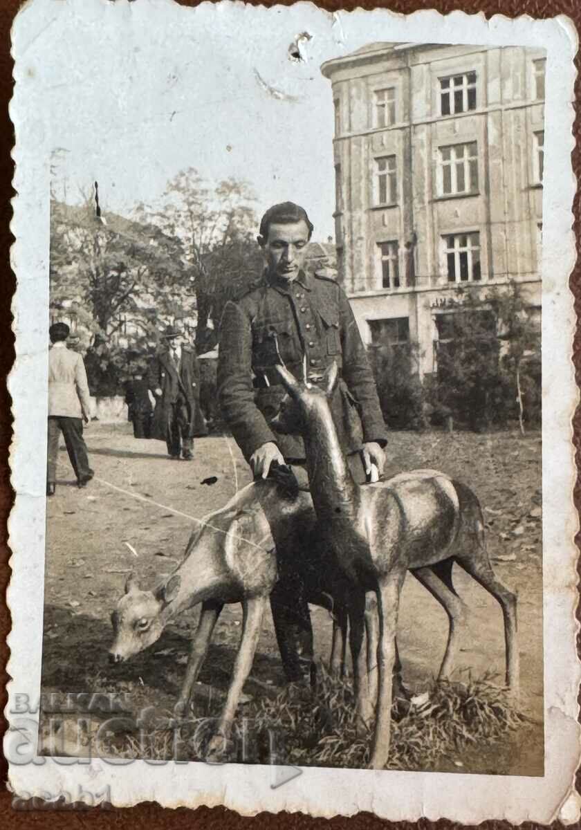 Militar în fața căprioilor