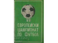 Program de fotbal Bulgaria EP Franța 84