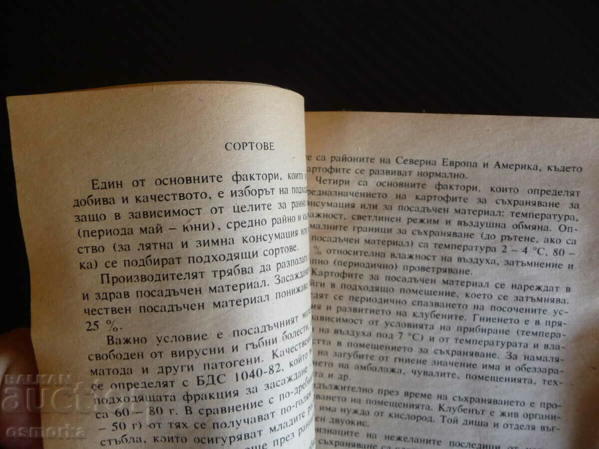 Licitație Cartofi Biblioteca cultivatorului de legume tip rău rar