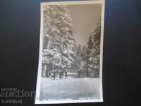 Borovets in winter, 26, 1 February 59, old postcard