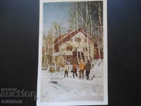 Vitosha, h. The white birches, old postcard