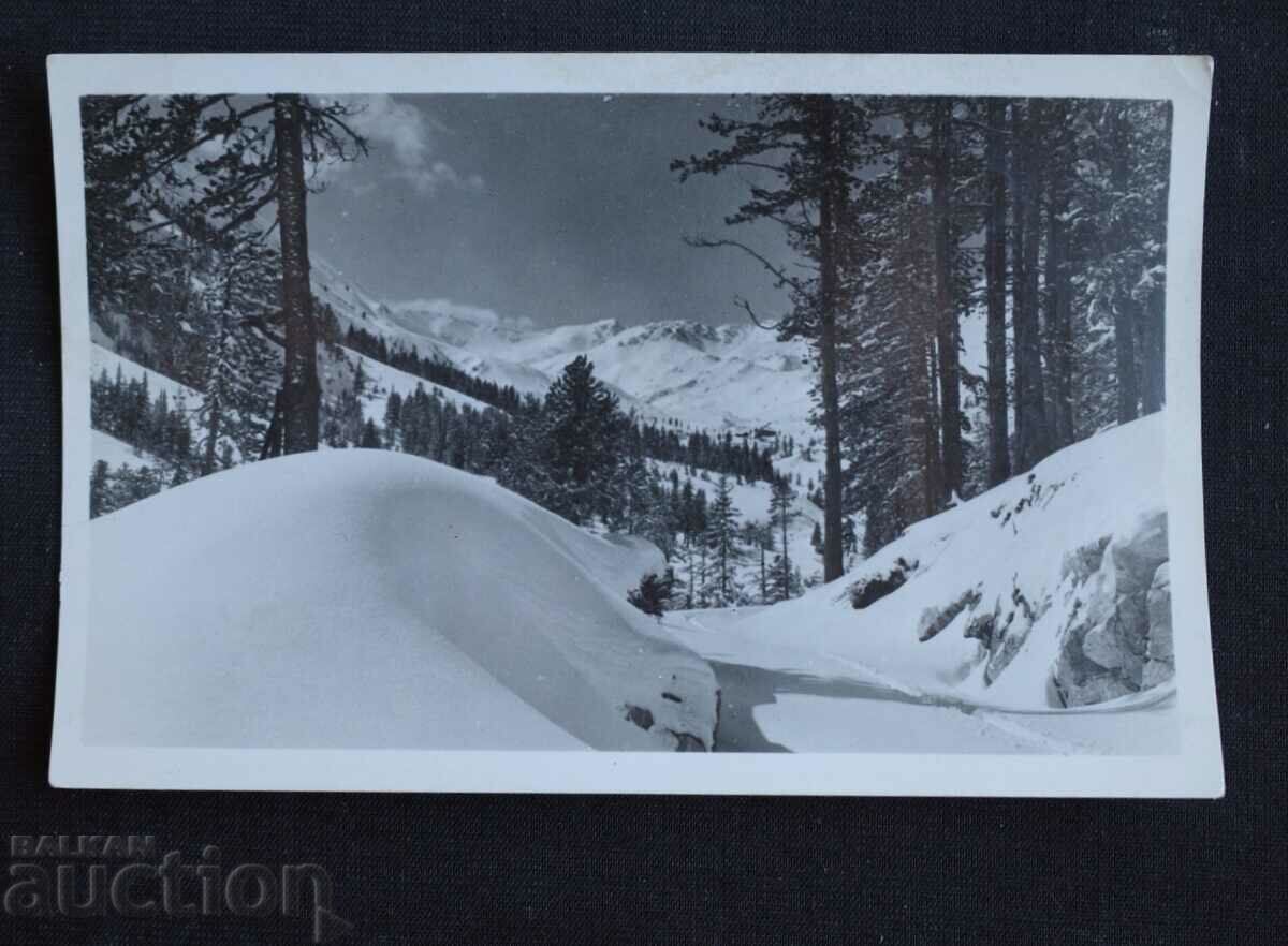 Pirin - Peisaj de iarnă