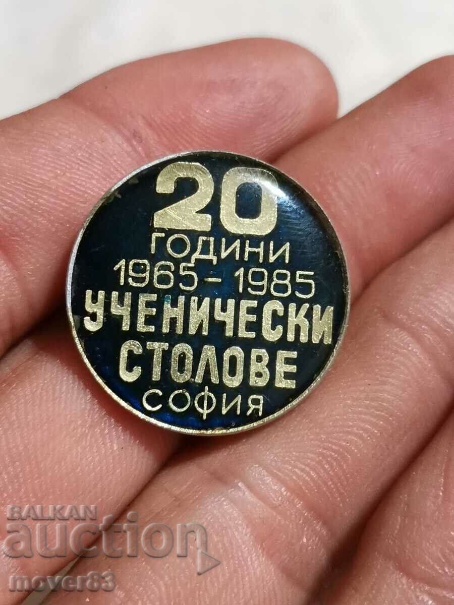 20 Years of School Chairs Badge