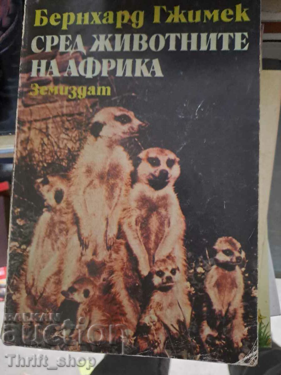 Ανάμεσα στα ζώα της Αφρικής ο Bernhard Gjimek