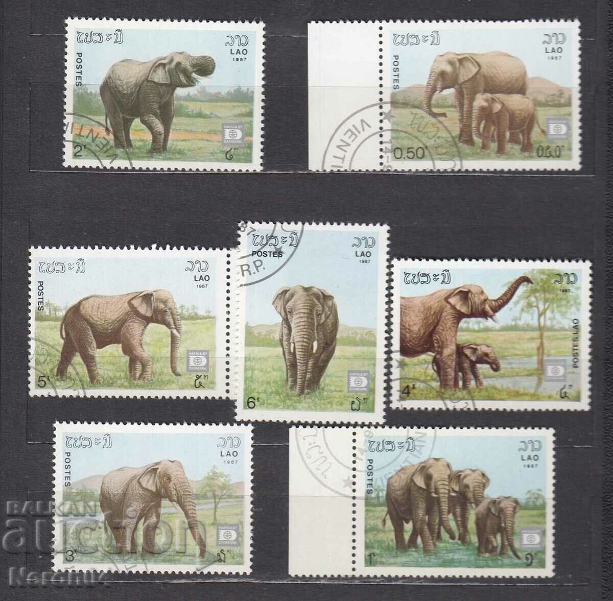 Fauna Elephants 1987, Λάος