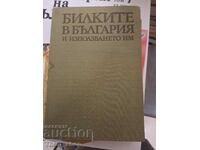 Βότανα στη Βουλγαρία και η χρήση τους