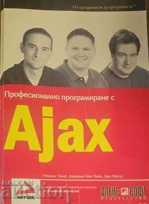 Programare profesională cu Ajax-Nickus Zakas