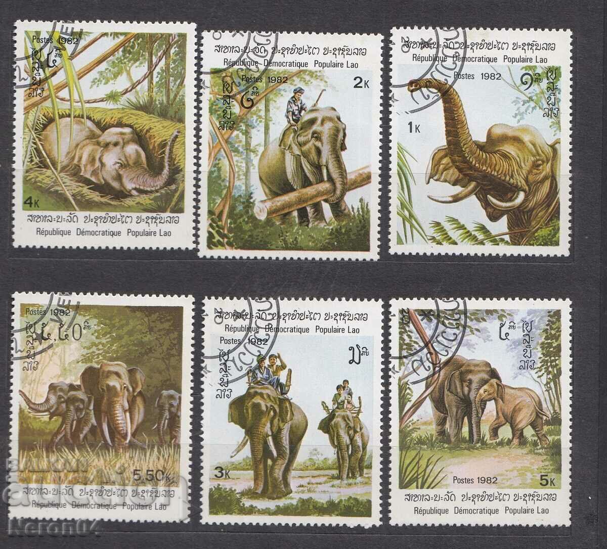 Elephants 1982, Λάος