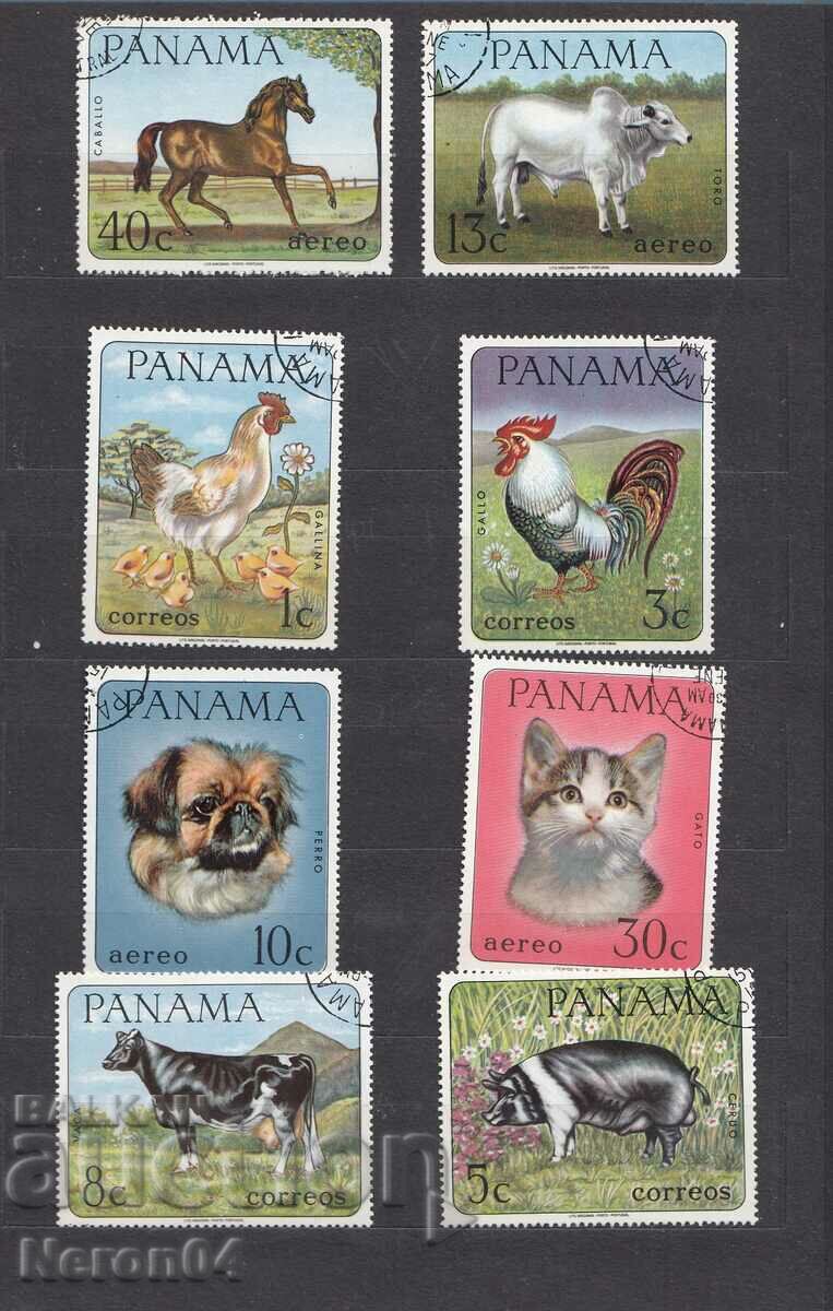 Domestic Animals 1967, Panama