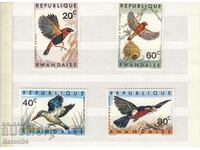 Birds 1967, Rwanda