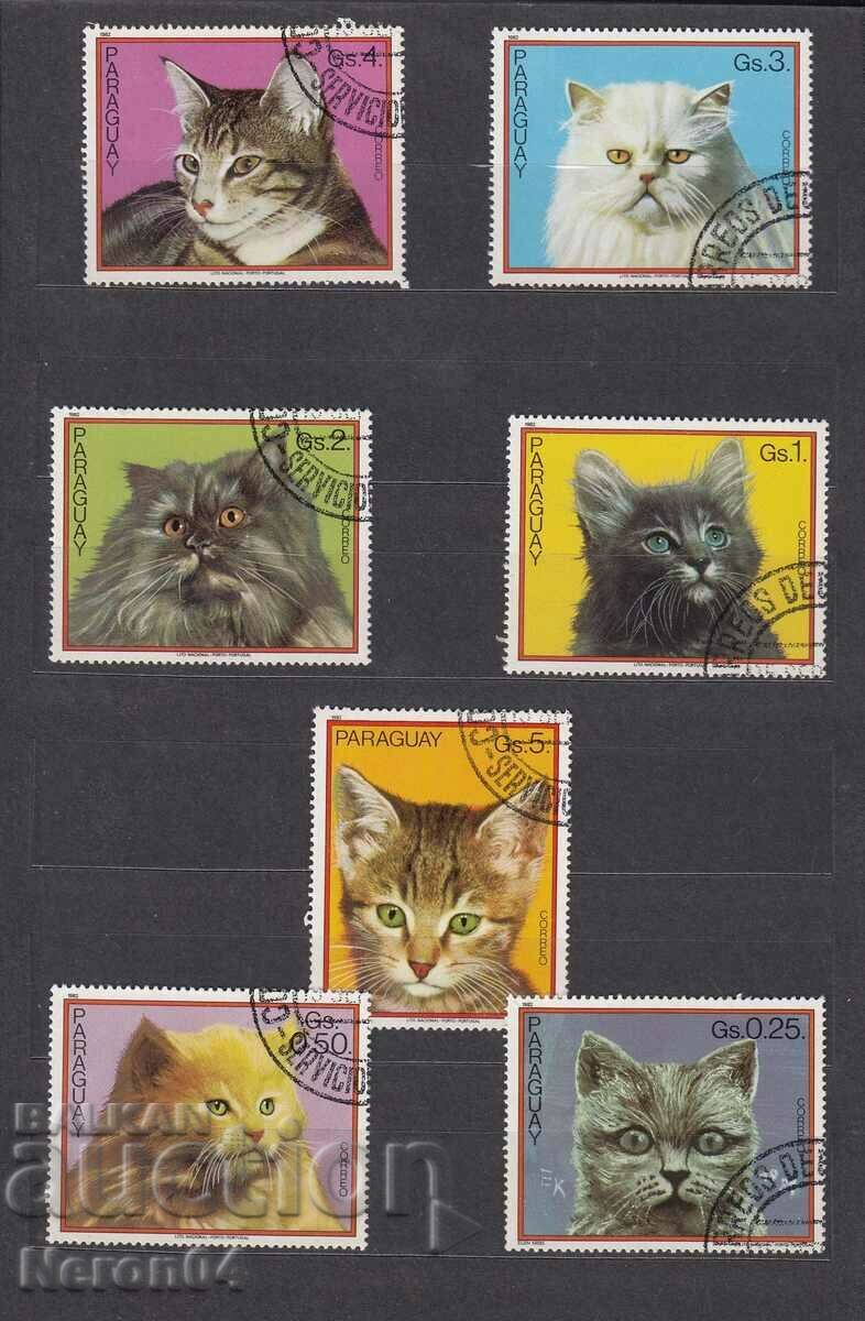 Domestic cats 1982, Ουρουγουάη