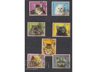 Domestic cats 1982, Uruguay