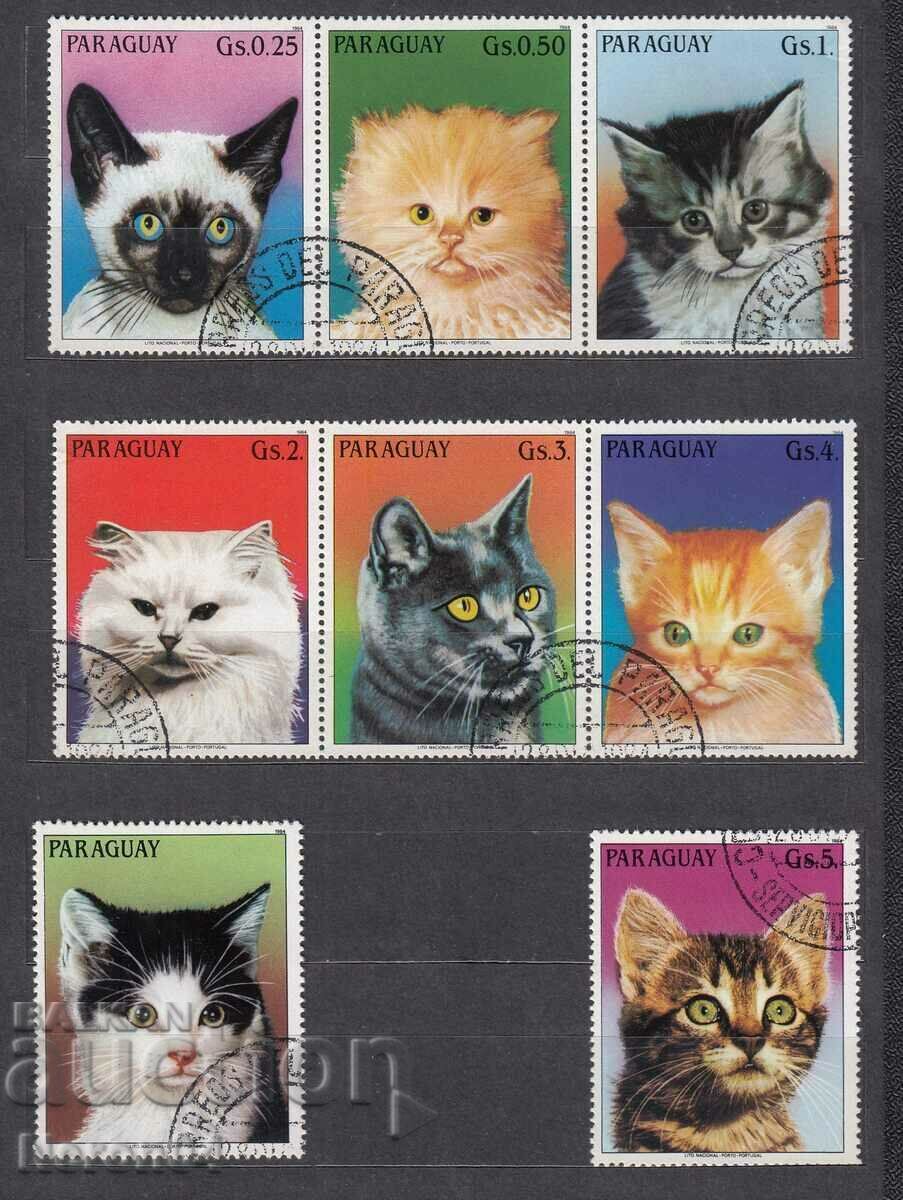 Domestic cats 1984, Uruguay