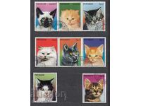 Domestic cats 1984, Uruguay