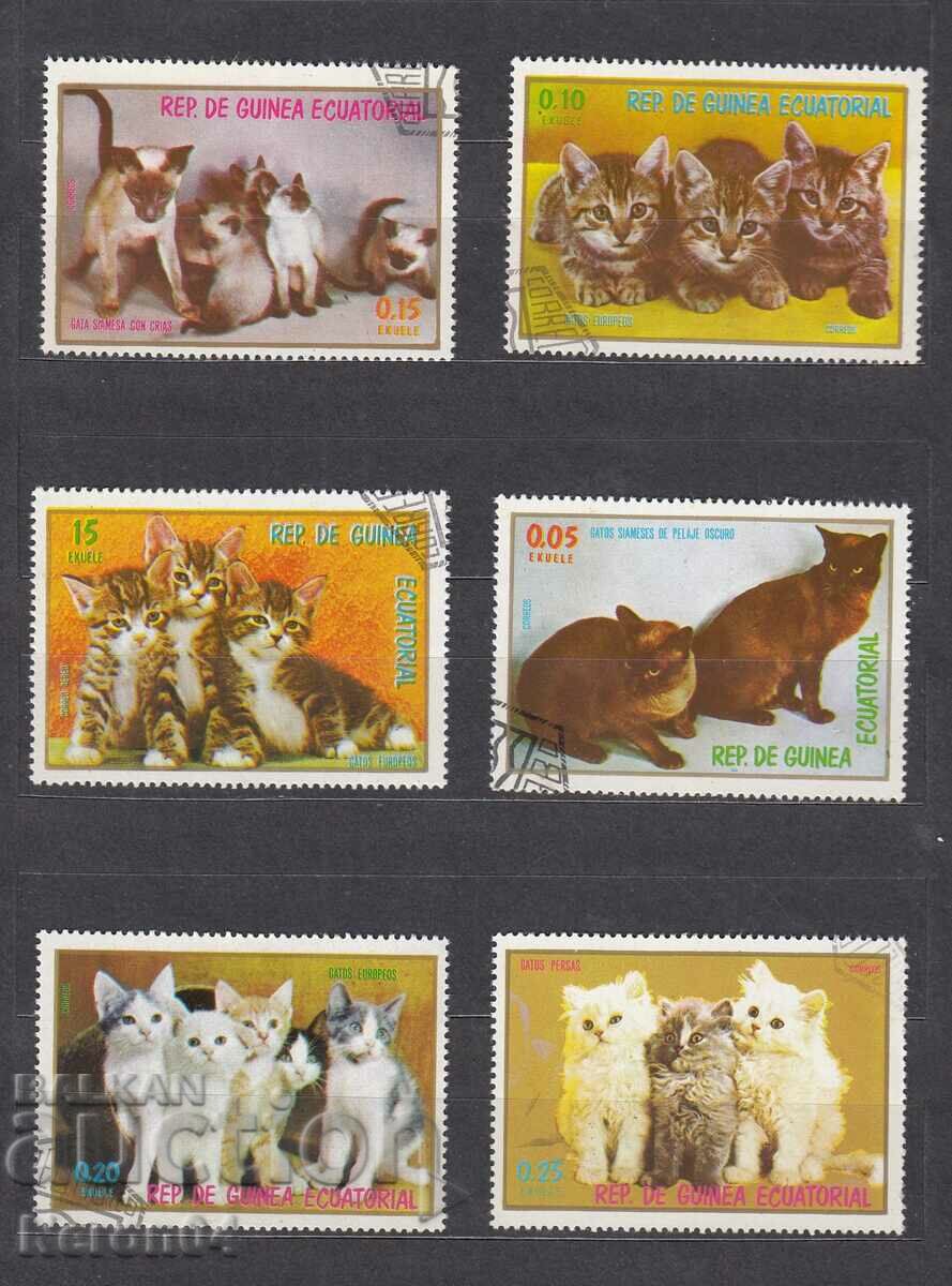 Domestic cats 1976, Equatorial Guinea