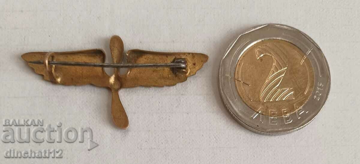 Livrarea PSV - US Air Service USAS - Pilot ofițer al USAF Livrarea PSV - US Air Service USAS - Pilot ofițer al USAF