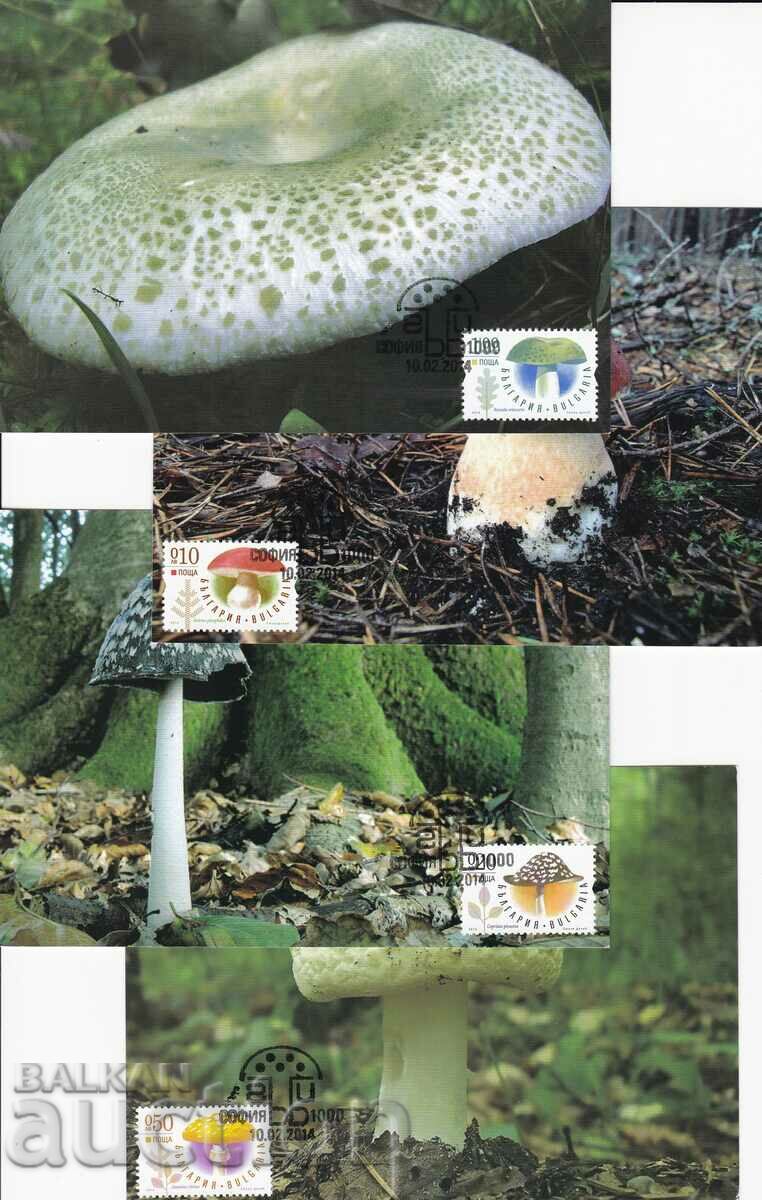 Cards maximum Bulgaria 2014 Mushrooms tyr. 200 pcs. No. 5113 - 5116