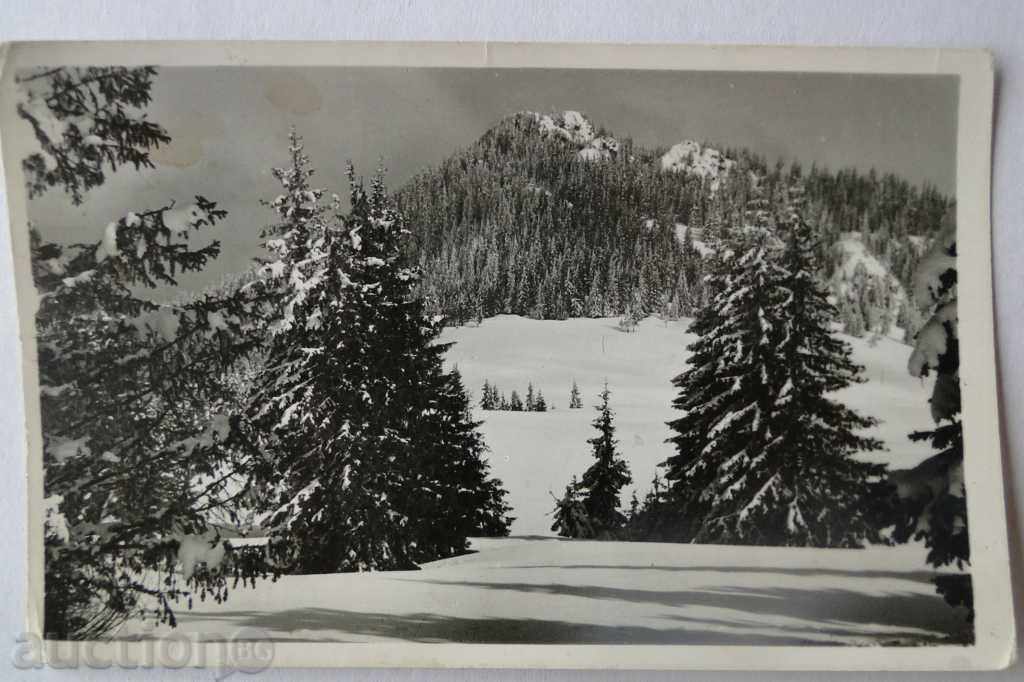 ПЪТУВАЛА  КАРТИЧКА РОДОПИТЕ ВРЪХ КАРАМАНДЖА преди 1960