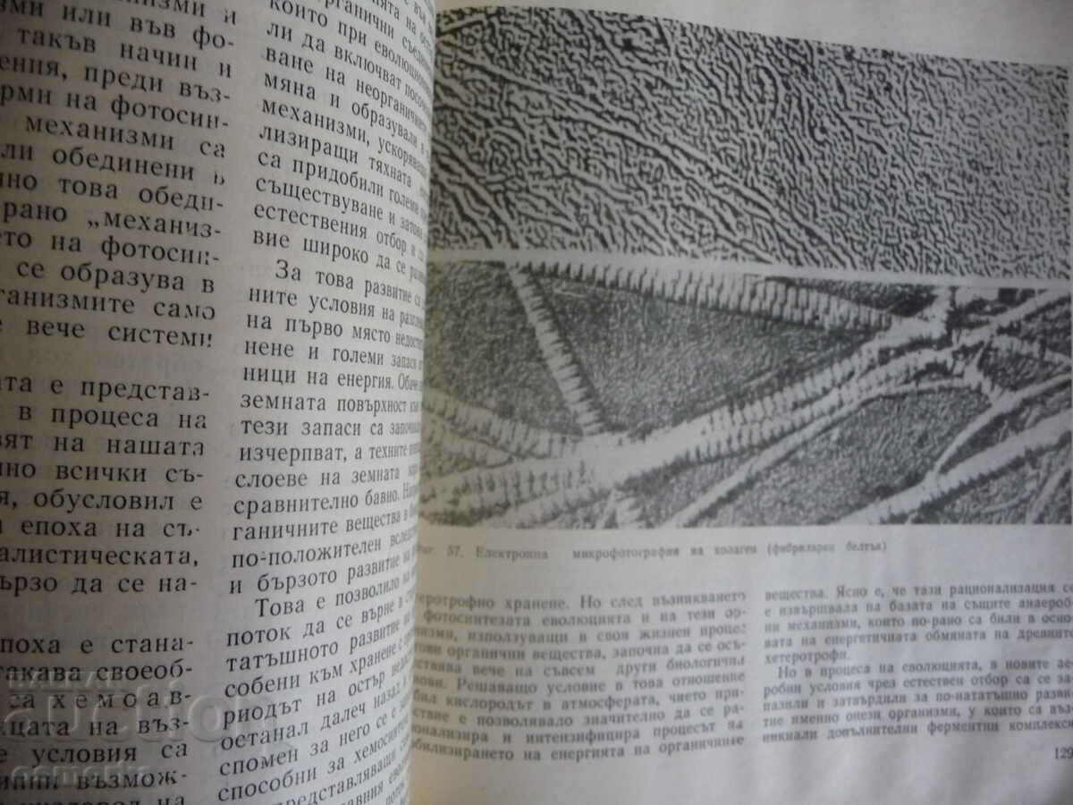 Origin of life AI Oparin Solar system organisms - 5