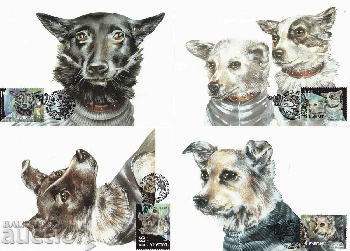 Maps maximum 2011 Fauna dogs cosmonauts 1 type No. 4999