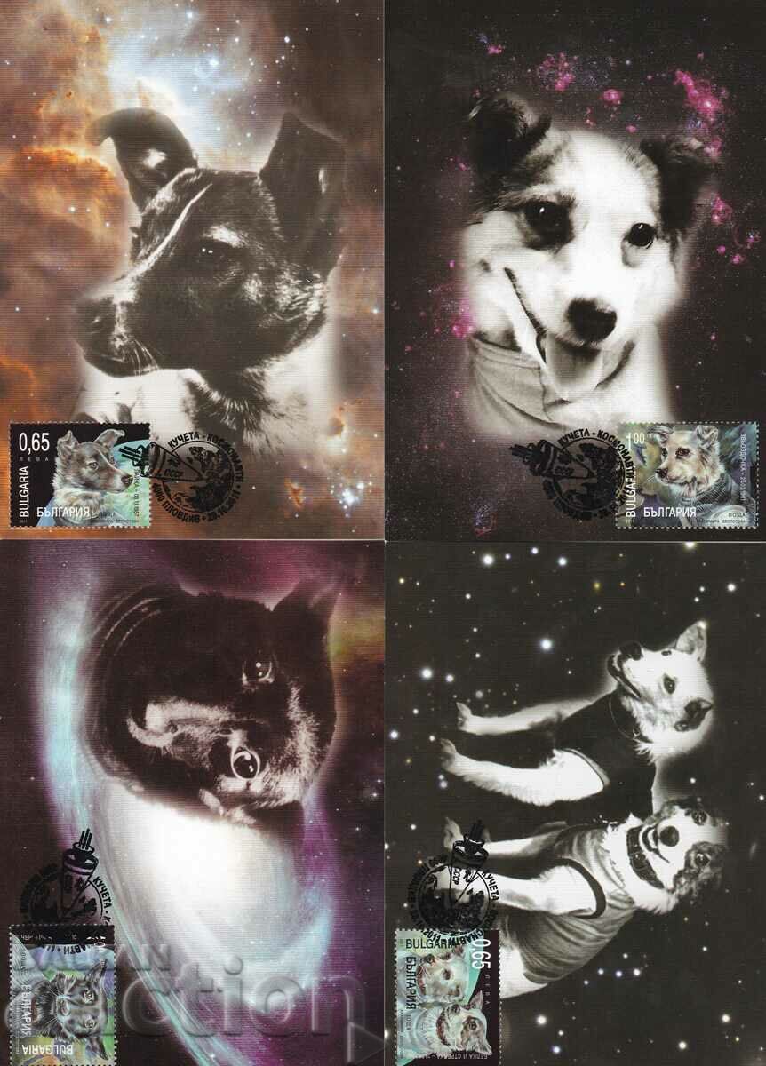 Maps maximum 2011 Fauna dogs cosmonauts 2 species #4999