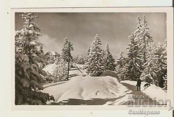 Card Bulgaria Winter landscape 24**