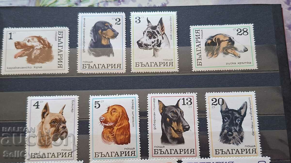 ✅ PURE SERIES OF POSTAGE STAMPS ❗