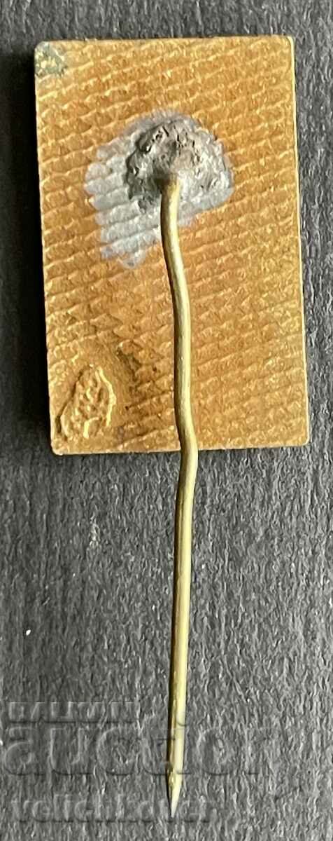 38531 Bulgaria sign BTRTO enamel with price 5.00 BGN | € 2.56 38531 Bulgaria sign BTRTO enamel with price 5.00 BGN | € 2.56