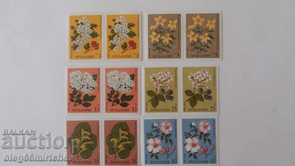 Bulgaria 1981 - Flora Medicinal plants - clean BK№3018/23