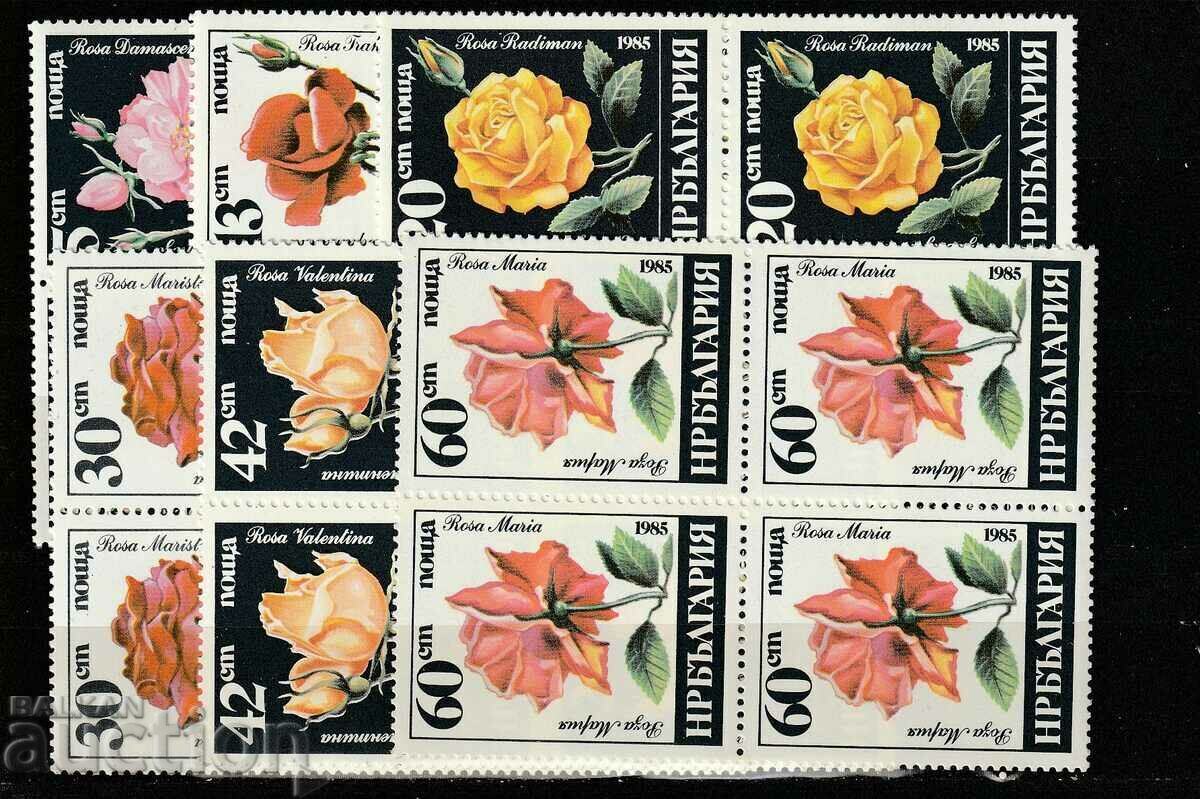 Bulgaria 1985 Flora Rosi BK№3414/9 clean SQUARE