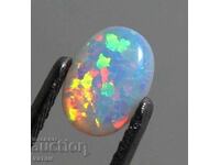 BZC! 0.30 ct Natural Ethiopian Fire Opal GDL 1pc Cert!