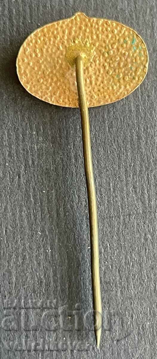 Auction 38602 Bulgaria sign Geophysics and geological surveys Auction 38602 Bulgaria sign Geophysics and geological surveys