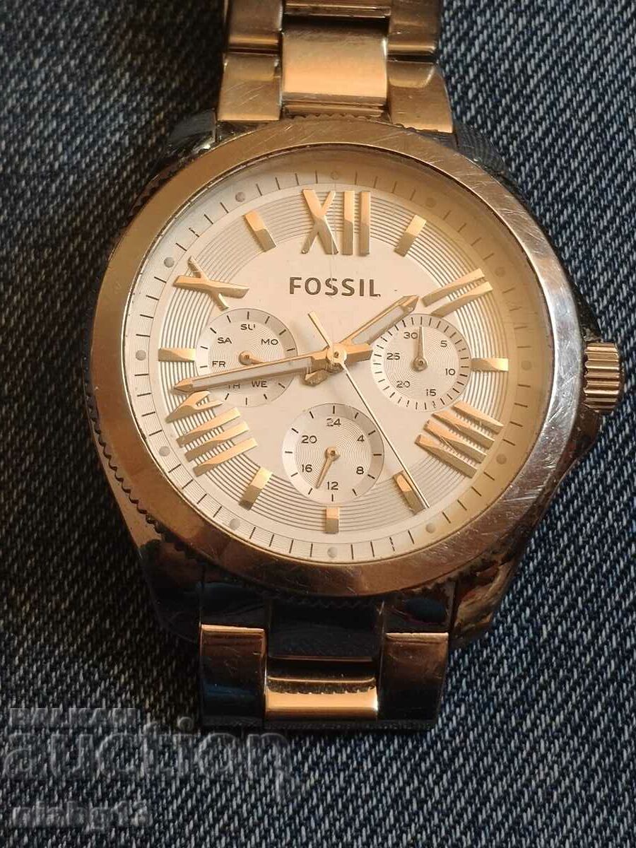 Fossil