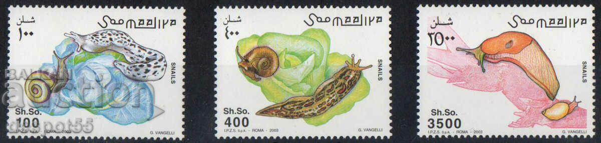 2003. Somalia. Snails.