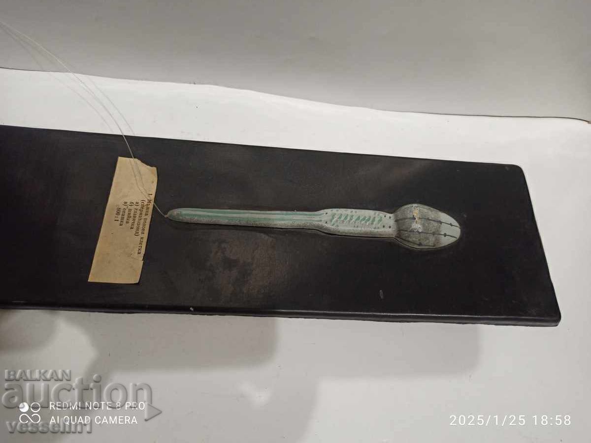 Old sign, educational board - device of SPERMATOZOID 50cm/ with price 45.00 BGN | € 23.01 Old sign, educational board - device of SPERMATOZOID 50cm/ with price 45.00 BGN | € 23.01