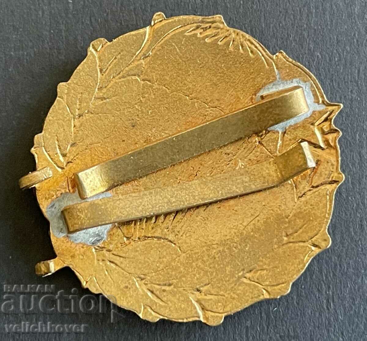 38635 Hungary Parachutist Badge Parachute DOSO Enamel 1970s with price 25.00 BGN | € 12.78 38635 Hungary Parachutist Badge Parachute DOSO Enamel 1970s with price 25.00 BGN | € 12.78