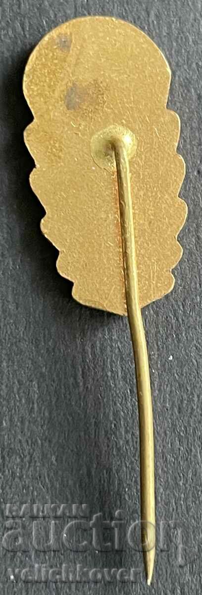 38637 Czechoslovakia badge World Parachuting Championships 1971 with price 35.00 BGN | € 17.90