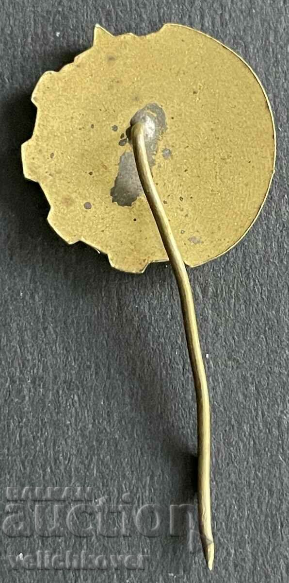 38643 Bulgaria sign PMP Plovdiv sample fair 1950s with price 6.00 BGN | € 3.07