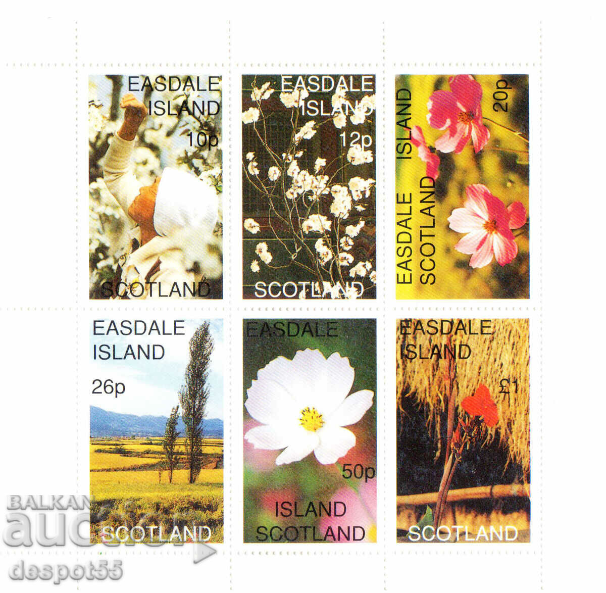 1997. Isle of Easdale, Scotland. Flowers. Block. ILLEGAL STAMP