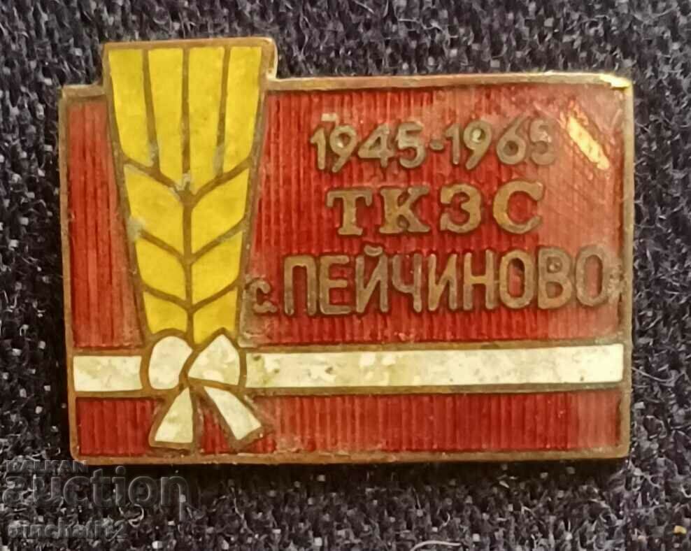 Auction  A rare sign. 20 years of TKZS - Peychinovo village