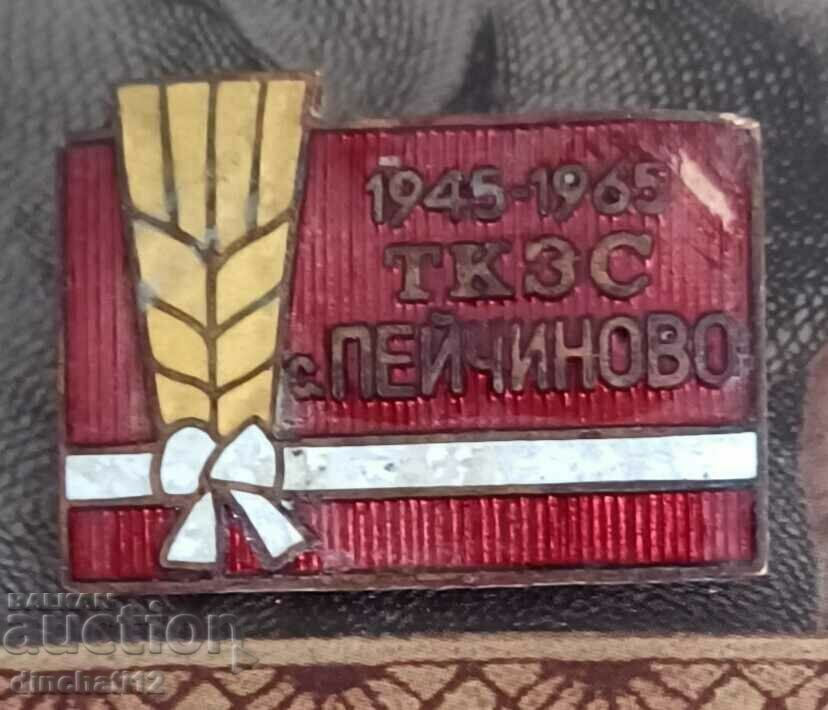 Delivery of A rare sign. 20 years of TKZS - Peychinovo village
