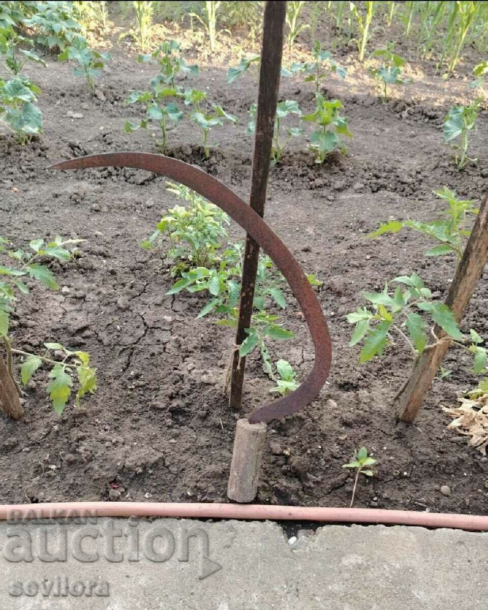 An authentic sickle over 80 years old